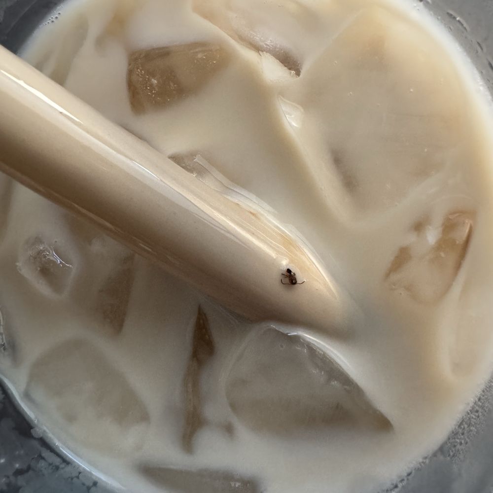 Heytea - bu g - Bubble Tea Near Me - Milpitas, California Heytea - bu g - Bubble Tea Near Me - Milpitas, California