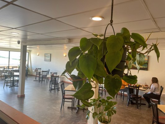 Cafe Nooner - Fresh Good Food by null