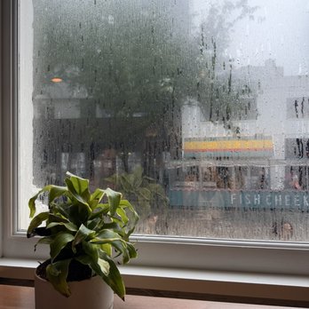 12 Matcha - Cafes Near Me - New York, New York 12 Matcha - Cafes Near Me - New York, New York