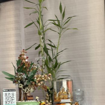 Thaiphoon Bistro - Ambience - Thai Near Me - Raleigh, North Carolina