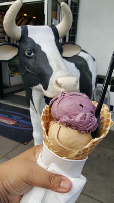MooTime Creamery by null