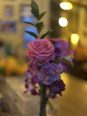 The Good Good by null