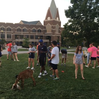 Good Green Earth Farm - University events are so fun! Even the college students love baby goats!!! - Attraction Farms Near Me - Bethel, Ohio Good Green Earth Farm - University events are so fun! Even the college students love baby goats!!! - Attraction Farms Near Me - Bethel, Ohio