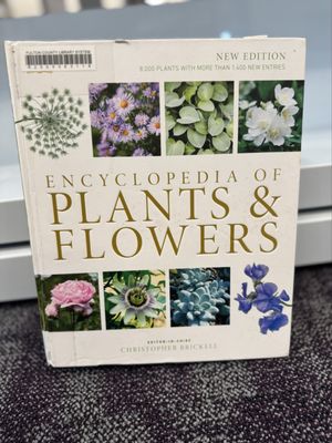 Buckhead Library by null