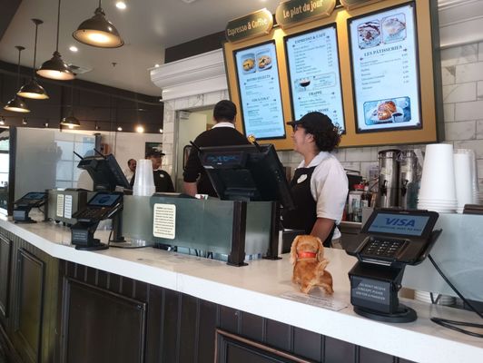 French Street Bistro by null