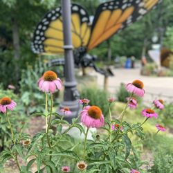 user provided John Ball Zoo photo