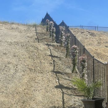 Moon Valley Nurseries - Pink Jasmine trees... - Nurseries & Gardening Near Me - Murrieta, California Moon Valley Nurseries - Pink Jasmine trees... - Nurseries & Gardening Near Me - Murrieta, California