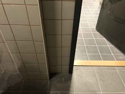 Fuglen by null