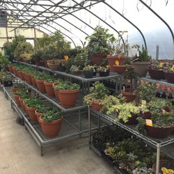U & D Nursery - Huge variety!