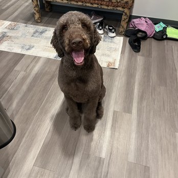 Paw Paradise Spa - Pet Groomers Near Me - Omaha, Nebraska