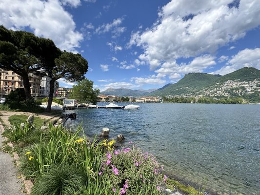 Ciani Lugano by null