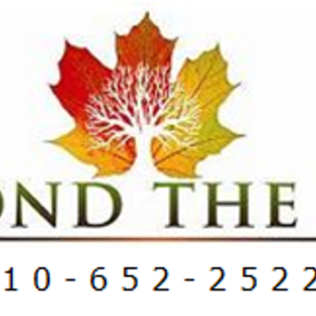 Beyond The Leaf Tree & Shrub Experts - Tree Services Near Me - Perkiomenville, Pennsylvania Beyond The Leaf Tree & Shrub Experts - Tree Services Near Me - Perkiomenville, Pennsylvania