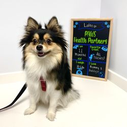 Highlands Animal Care - Latte's first visit!