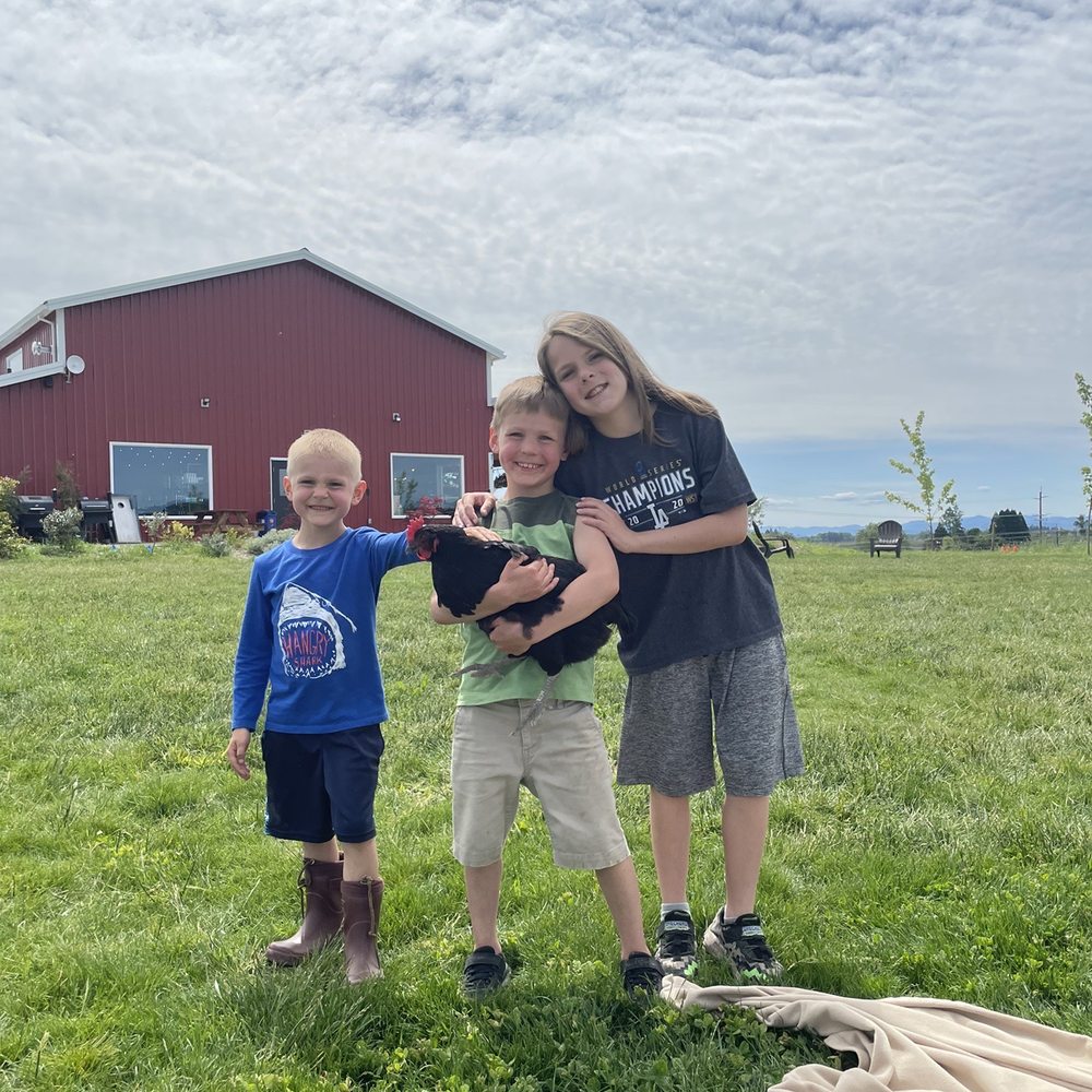My boys enjoying the field and the chickens!