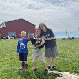 My boys enjoying the field and the chickens! My boys enjoying the field and the chickens!