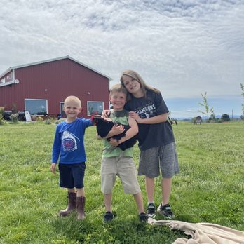 Marion Acres - My boys enjoying the field and the chickens! - Farmers Market Near Me - Hillsboro, Oregon Marion Acres - My boys enjoying the field and the chickens! - Farmers Market Near Me - Hillsboro, Oregon