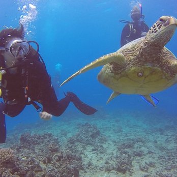 Kaimana Divers - Scuba Diving Near Me - Honolulu, Hawaii Kaimana Divers - Scuba Diving Near Me - Honolulu, Hawaii