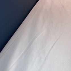 Quality Inn & Suites - Bedbug larvae.