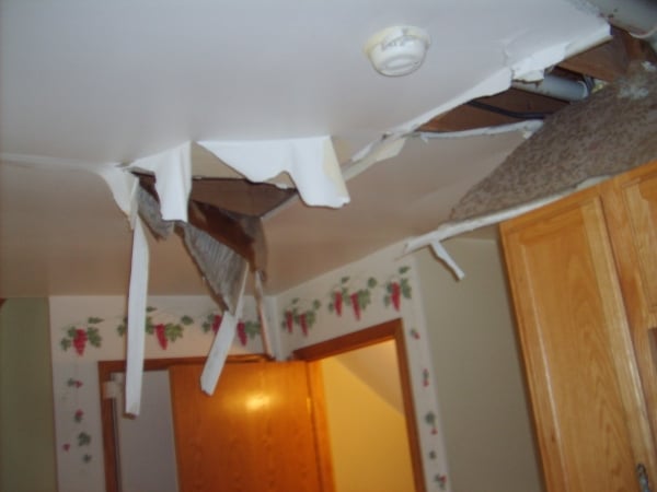 Slide of Absolute Water Damage