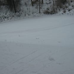 Rosengarten