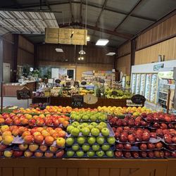 Apples Galore