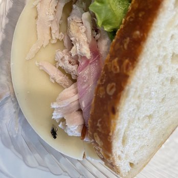 Kneaders Bakery & Cafe - Bug in the sandwich - Bakeries Near Me - St George, Utah