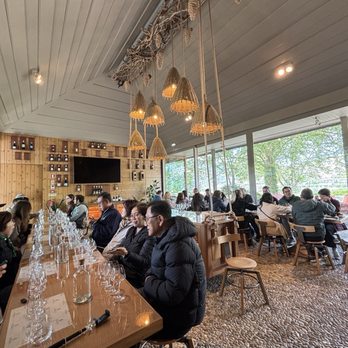 Quinta da Pacheca - Wineries Near Me - Lamego, 18