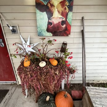 Wild Steer Diner - a table with pumpkins and gourds - American Near Me - Stratford, Wisconsin Wild Steer Diner - a table with pumpkins and gourds - American Near Me - Stratford, Wisconsin