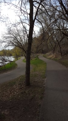 Central Park by null