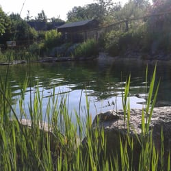 Restaurant Gut Wildberg - Badeteich im Garten