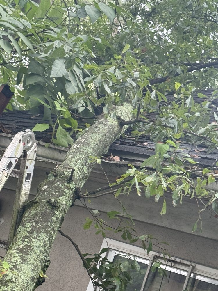 Slide of Premier Roofing and Construction