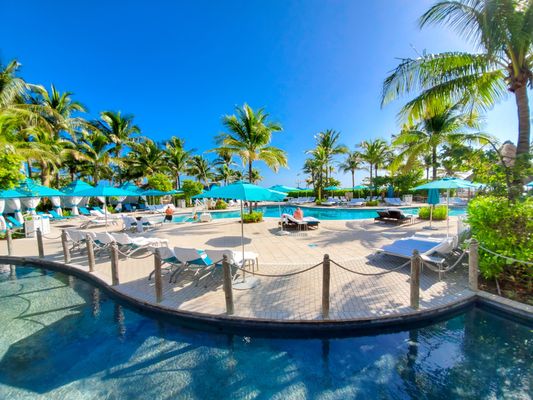Margaritaville Restaurant by null