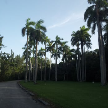 Greynolds Park - Palm road - Parks Near Me - North Miami Beach, Florida Greynolds Park - Palm road - Parks Near Me - North Miami Beach, Florida