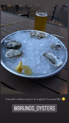 Bruno's Oysters by null