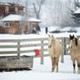 Photo of Casia Lodge and Ranch