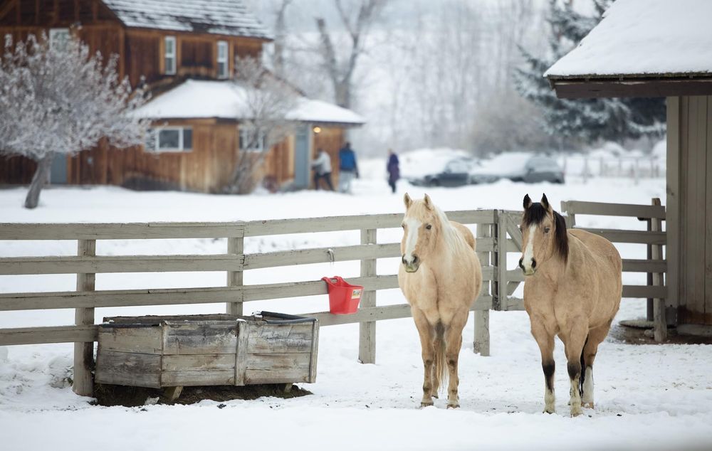 CASIA LODGE AND RANCH Updated October 2024 27 Photos & 16 Reviews