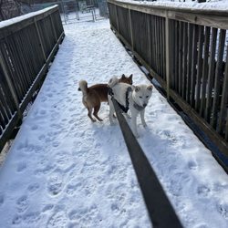 Mill Creek Park