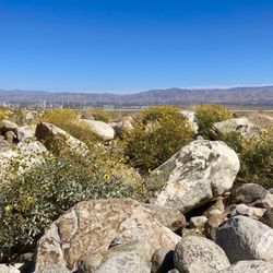 Chino Cone Alluvial Fan hike - View north in March