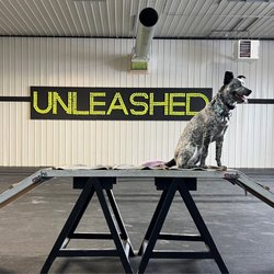 Barkology - Fun ramp for dogs inside dog area