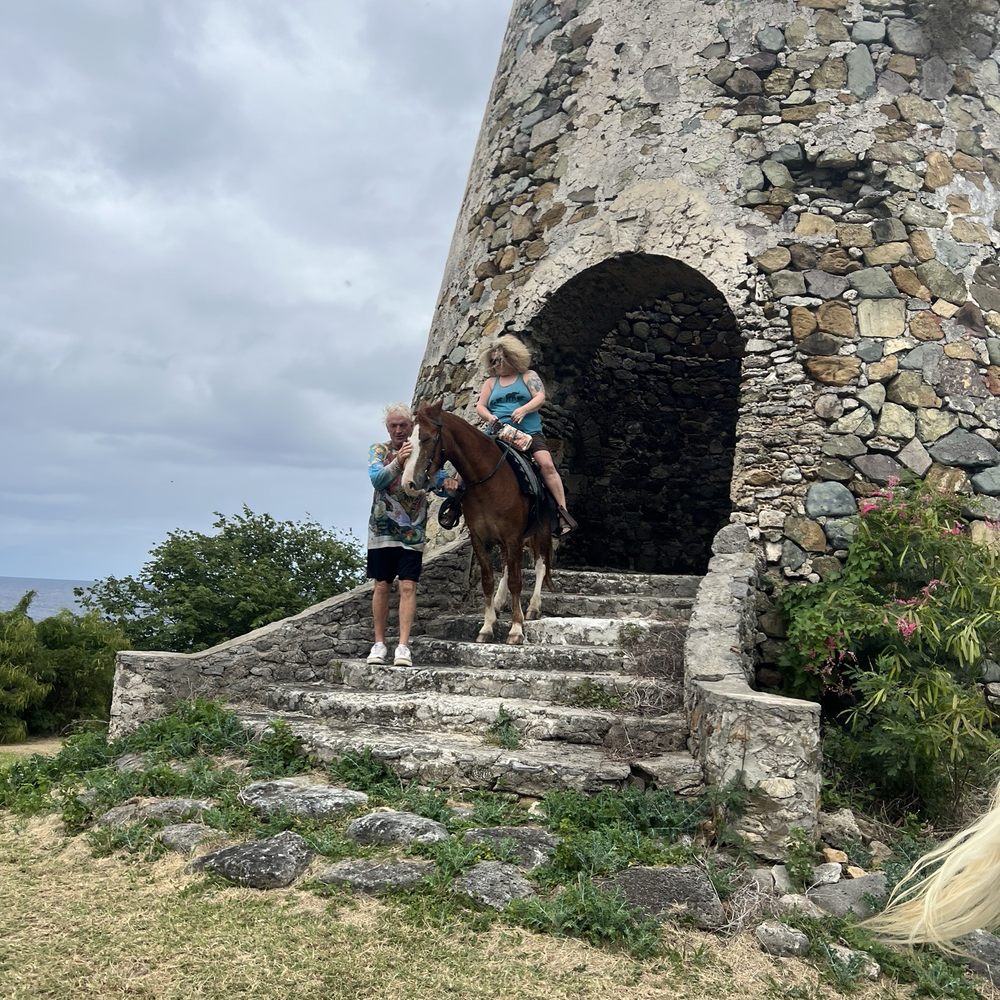 Equus Rides - Horseback Riding Near Me - Christiansted, Virgin Islands Equus Rides - Horseback Riding Near Me - Christiansted, Virgin Islands