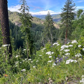Okanogan-Wenatchee National Forest Headquarters - Parks Near Me - Wenatchee, Washington