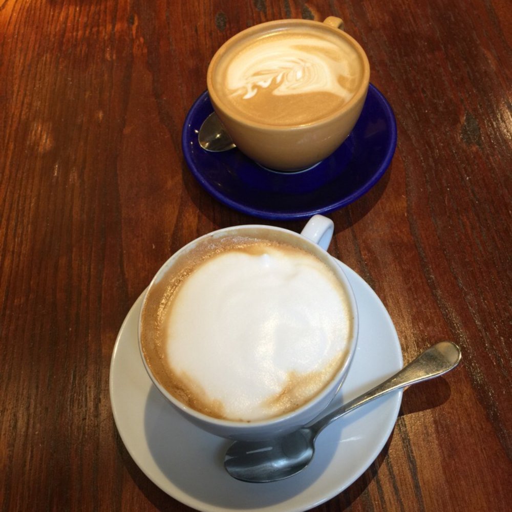 Gryphon Cafe - Latte and Cappuccino - Coffee & Tea Near Me - Wayne, Pennsylvania