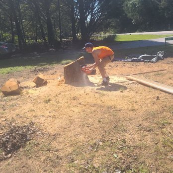 Brian's Tree and Handyman Services - Handyman Near Me Brian's Tree and Handyman Services - Handyman Near Me