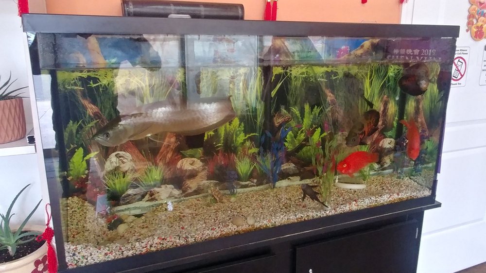 HEALTHY FEET SPA Updated September 2024 23 Reviews 35 N Main St, Sayville, New York Day