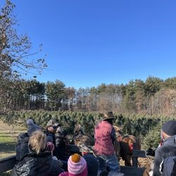 Miller's Christmas Trees - Free wagon rides make it easy to get out to the fields and back!