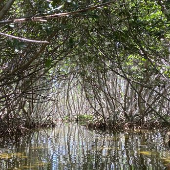The Kayak Shack - Mangroves - Rafting/Kayaking Near Me - Islamorada, Florida The Kayak Shack - Mangroves - Rafting/Kayaking Near Me - Islamorada, Florida