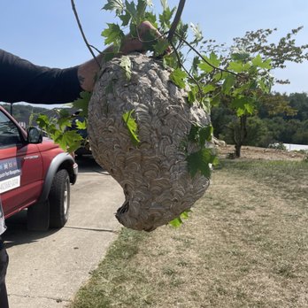 Vanquish Pest Management - Pest Control Near Me - Pittsburgh, Pennsylvania Vanquish Pest Management - Pest Control Near Me - Pittsburgh, Pennsylvania