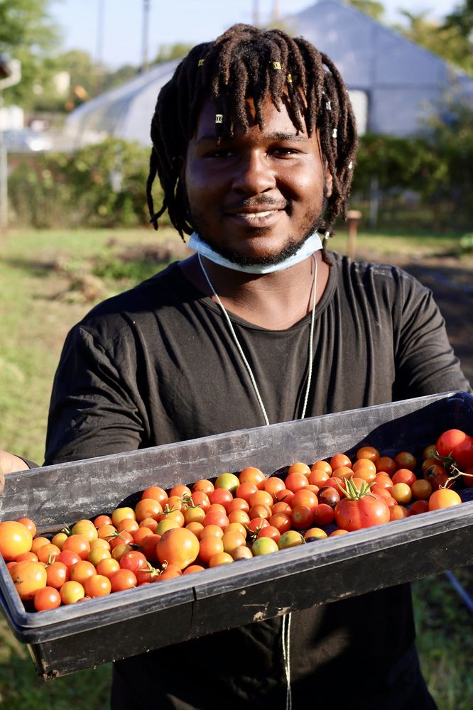 Angelic Organics Learning Center - social services organization in Caledonia, IL