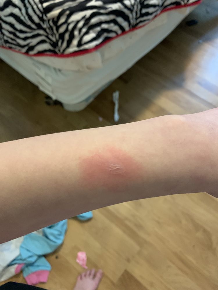 TESLA SUPERCHARGER HERMITAGE, PA 2381 S Hermitage Rd, Hermitage