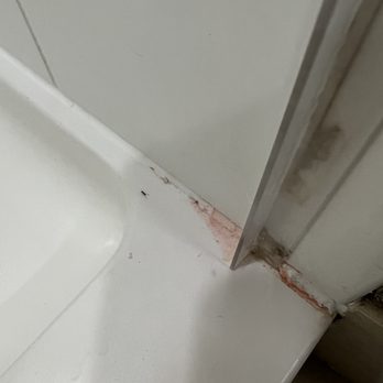 Courtyard by Marriott San Diego Oceanside - Filthy shower with grime and an ant - Hotels Near Me - Oceanside, California